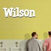 Wilson [2017] / H264 / MKV / Blu-ray / 1080p / DTS / Subs thumb