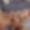 [SeanCody.com] SC-2527 Murray & Manny: Bareback [2018 ., Anal Sex, Ass Play, Bareback, Big Dicks, Blowjob, Cumshots, Interracial, Kissing, Latinos, Masturbation, Muscles, Rimming, Tattoos., 720p] thumb