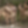 [LucasEntertainment.com] 11-Man Fire Island Bareback Orgy (Part 01) (Alexander Volkov, Andrey Vic, Drake Masters, Drew Dixon, Ian Frost, Jackson Radiz, Manuel Skye, Max Adonis, Max Arion, Ruslan Angelo, Shane Jackson) / LVP327-01 Fire Island Sex Party, scene 1 [2019 ., Anal, Bareback, Group, Blowjob, Uncut, Outdoors, Rimming, Ass to Mouth, Fisting, Cumshots, 720p] thumb