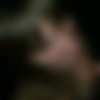 [2013 ., Oral Sex, Tits, Blowjob, Cum shots, 720p, CamRip] thumb