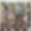 [TittyAttack.com / TeamSkeet.com] Noelle Easton (Free The Nipps!) [2015 ., All Sex, Big Tits, Big Butt, 1080p] thumb