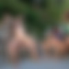 Why Not Bi /     ( Let's Go Bi ) [16.12.2023. Bisexual, MMF, Oral/Anal Sex, Vaginal Sex, Threesome, Hardcore, Cumshots, Compilation,..720p,SiteRip] thumb