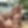 [OutInPublic.com/BigDaddy.com] OP11881 Check That Ass Out! (Franc Zambo & Angelo (aka Just Angelo / Angelo Brada)) [2013 ., Anal Sex, Bareback, Blowjob, Cumshots, Hardcore, Masturbation, Muscles, Outdoors, Tattoos, Uncut., 720p] thumb