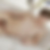 [Staxus.com] Sticky Mucky Spunktexters, Sc.1: Texting Buddy Takes A Dare To Coat His Mate’s Face with Spunk! (Chester Owen, David Doren) [2017 ., Blowjob, Anal, Bareback, Rimming, Fingering, Riding, Tattoos, Facial Cumshot, Twinks, 720p] thumb