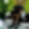 [LustyBustyChix.com / 21Sextury.com] Black Angelika (Lusty Busty Black Angelika) [2015 ., Brunette, Oral, Hardcore, 1 on 1, 720p] thumb
