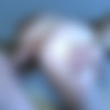 [PrivateSociety.com] Carly (Banging Some Local Ass) [2022-08-25, Anal, 1on1, Blowjob, Hardcore, Doggy Style, Missionary, Amateur, Anal Doggy, Black Hair, Anal Missionary, Low Light, On Her Knees, Trimmed Pussy, Natural Tits, 1080p] thumb