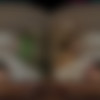 [VRHush.com] Lana Smalls - A Step Too Far (59386) [2025-05-21, Blow job, Close ups, Cowgirl, Reverse cowgirl, Creampie, Chestnut, Doggy style, Hardcore, Missionary, Standing missionary, Masturbation / fingering, Small tits, Trimmed pussy, Pierced navel, Tattoo, American, SideBySide, 4096p, SiteRip] [Oculus Rift / Vive] thumb