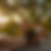 [DorcelVision.com] James et Lola vol.2 (2022) thumbnail