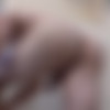 [SeanCody.com] SC-2137 Ralph [2016 ., Beefy, Cumshots, Freshmen, Interview, Masturbation, Muscles, Red Haired, Solo., 720p] thumb