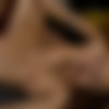 [Joymii.com] 2018-01 [5  / 331  / High-Res] thumbnail