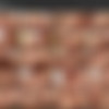 [Silviasaint.com] Silvia Saint ( ) / Gold Nightie [16.05.11, Solo,posing,masturbation, 1080p] thumbnail