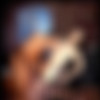 [suze.net] Suze Randall's girls 2015-07 -july/- [feat. Celeste, Taylor St.Claire, Sammy Stone, Tera Patrick, Silvia Saint, Stormy Daniels, Jenna Haze, Lanny Barby, Aimee Sweet, Vicca] [16002400, 887 , 18 ] thumbnail