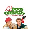 12 Dogs of Christmas: Great Puppy Rescue [2012] / 1080p / BluRay / H264 / DTS / MKV / MELiTE thumb