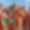 -   -   2015 [nudism, body painting, candid] [1753x2338 - 5184x3456, 4800 ] thumb