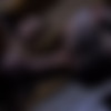[YoungBastards.com]   (76) [2015-2018, Blowjob, Oral/Anal Sex, Domination, Cumshots, Facial, Muscles, Threesome, Shaved, Smooth, Fingering, Masturbation, Skinny, Twinks, 720p, 1080p] thumbnail