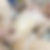 [PCL112] [4048911] / PCL-112 [Cen] (Ochincos LABO / おちんコスLABO) [2023, Transsexual, Cosplay, Cross Dressing, HDRip 1080p] thumb