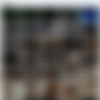 Sex Files: Sexual Matrix /   ( ) [2000 ., , SATRip] [rus] thumb