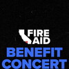 FireAid Benefit Concert [2025] / 1080p / WEB / H264 / EAC3 / Subs / MKV / HONE thumb