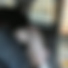 [FakeTaxi.com] Amber (1166 / 06.10.14) [2014 ., all sex, 1080p] thumb