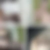 West Coast Productions.2013.Mandingo Passion 2.1080p-VERIFIED thumbnail