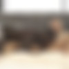 [Black4k.com] Black4k Siterip  16.09.2020 (11 ) [All Sex, Blowjob, Cowgirl, Doggy Stile, IR, 720p] thumbnail