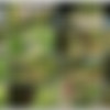 [CzechExperiment.com / CzechAV.com] CZECH EXPERIMENT 2 - MONIKA (aka Lilith Virago) (2015 .) [Public Sex, Hardcore, Amateurs, Outdoors] [720p] thumbnail