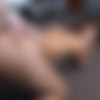 [HoInHeadlights.com / BangBros.com] Jessi Lopez ( Amateur Latina First Time Anal On Cam / hih13735 / 17.01.15) [2015 ., Amateur, Anal, Big Ass, Blowjob, Brunette, Cumshot, Facial, Handjob, Hardcore, Latina, Natural Tits, 1080p] thumb