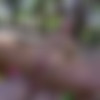 [PublicBang.com / BangBros.com] Amirah Adara (Threesome in the woods! / pb14575) [28-10-2015 ., 18+ Teens, Amateur, Anal, Big Ass, Blowjob, Cumshot, Deep Throat, Facial, Handjob, Hardcore, Outdoor Sex, Public Sex, Thresome, 1080p] thumb
