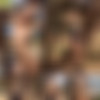 [photodromm.com] photodromm.com 2017-12 [Big Tits, Solo, Posing, Glamour, Softcore] [2000x3000, 733 , 16 ] thumbnail