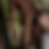 [Staxus.com] The Big Picture Scene#4: Sunbathing Black Dude Gives Horny White Twink A Raw Fuck! (Hector Agusti, Xavier Sibley) [2015 ., Anal/Oral, Big Dick, ..., Interracial, ..., Outdoors, Piercing, Rimming, Tattoos, Twink, Uncut., 720p] thumb