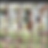 [DigitalDesire.com] 2015-05-08 Anya Ivy [Solo, Masturbation, Ethnic] [1080p] thumb