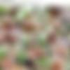 [TSplayground.com / EvilAngel.com] Bruna Castro & Max Scar (24.03.2013) [Shemale, All sex, Anal] thumb
