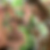 [CockyBoys.com] Logan Moore & Alex Mecum Flip-Fuck [2015 ., Anal Sex, Flip-Flop, Blowjob, Kissing, Rimming, Jocks, Outdoors, Tattoos, Hairy, Muscles, Uncut, Cumshots, 720p] thumb