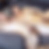 [SeanCody.com] SC-2551 Archie & Ayden: Bareback [2019 ., Anal Sex, Bareback, Big Dick, Blowjob, Cumshots, Hairy, Kissing, Masturbation, Muscles., 720p] thumb