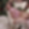 Amber Angel (23 ) Pack [2023-2024, Creampie, Facial, Swallow, Teen, Rough] thumb