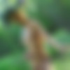 DOMAI.COM (2535 ,    L) thumbnail