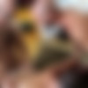 [GuyBone.Com] D’d Down Raw (Damon Andros, Stephen Harte, West) [2017 ., Anal, Oral, Cumshot, Threesome, Rimming, Tatoos, Masturbation, Bareback, Kissing, Hairy, Breeding, 720p] thumb
