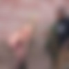 [CuckoldSessions.com / DogFartNetwork.com] Madelyn Monroe [1080p/19.04.2015 ., Blonde, Natrural Tits, Small Tits, Shaved Pussy, Tatoo, School Girl, Stockings, High Heels, Interracial, All Sex, Anal, Cuckold, Oral, Ball Licking, Cum On Ass] thumb