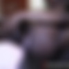 [iAmateursXXX.com / NASTY MEDIA GROUP] Riley (19.02.2022) [2022, All Sex, Brunette, Tattoo, Natural Tits, Interracial, Blowjob, Handjob, Rimming, Balls Sucking, Doggystyle, Choking, Lingerie, Creampie, 1080p] thumbnail