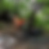 ,    [2020 ., Amateur, Russian., CamRip] thumb
