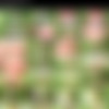 [Abbywinters.com] Avery - Naked Outdoors [2023-07-07, Solo, 576p] (aka Marcela Gaona, Hanna, Nona, Ani Hyza, Mona Nona) thumb