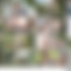 [DDFBusty.com / DDFNetwork.com] Harmony Reigns (05-09-2015) [2015 ., Big Tits, Big Ass, Outdoors, BlowJobs, Gonzo, Hardcore, All Sex, HDRip, 720p] thumb