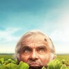The Gardener's Year [2024] / H264 / MKV / WEB / 1080p / AC3 / Czech / Subs thumb