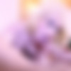 [TGirls.porn] Sarina Valentina & Sasha De Sade 4K -       4K [2017 . , Transsex , Shemale On Shemale , Bareback , Pale , Big Tits , Big Ass , Big Dick , Stockings , High Heels , 2160p , Ultra HD 4K , SiteRip] thumb