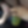 [ATKGirlfriends.com] Lola Fae (Hawaii 10/15) [2019 ., POV, Piss, Orgasm, Handjob, Masturbation, 1080p] thumb