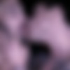 [RandyBlue.com] RB2547 Makeout Point (Cameron Marshall, Ian Parker, Jordan Levine) [2012 ., Anal Sex, Blowjob, Cumshots, Facial, Halloween, Hardcore, Horror, Kissing, Masturbation, Muscles, Rimming, Tattoos, Voyeur., 720p] thumb