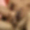 [GodsOfMen.com/Men.com] Lost In Love (Dante Colle, Pietro Durate) [2018 ., Kissing, Rimming, Blow Jobs, Masturbation, Oral/Anal Sex, Cum Shots, Condom, Big Dick, Jerk Off, Close ups, Tattoos, Piercing, Muscles, Brunettes, Interracial, Latin, 720p] thumb