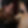 [VeronicaRodriguez.com] Veronica Rodriguez (SexIt) [2015-10-25 ., Latino, Straight, Blowjob, Facial, 1080p] thumb