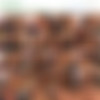 [PeepeeBabes.com / 21Sextury.com] (194 )  SiteRip /  -      [2005-2009 ., Peeing, Solo, Teen, Lesbians, Dildo, Fisting] thumb