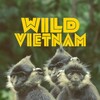 Wild Vietnam S01E01 2160p WEB H265-SYLiX thumb